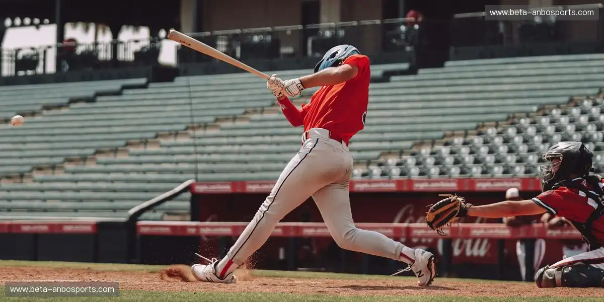 体育活动策划支持更多变量